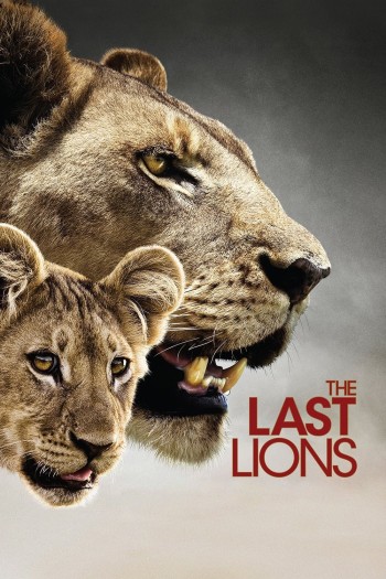 Bầy Sư Tử Cuối Cùng (The Last Lions) [2011]