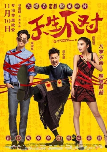 Cặp Đôi Khắc Tinh (Two Wrongs Make a Right) [2017]