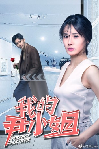 Cộng Sự Hoàn Hảo (Perfect Partner) [2019]