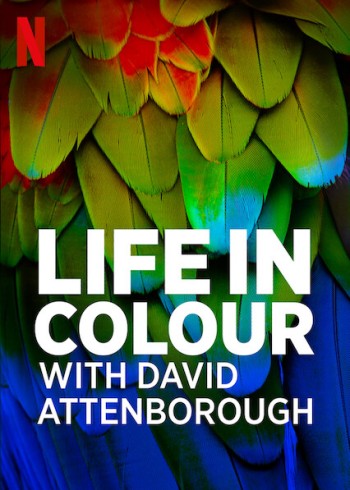 David Attenborough: Sự Sống Đầy Màu Sắc (Life In Colour With David Attenborough) [2021]