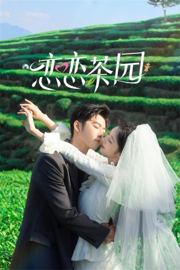 Đồi Trà Tình Yêu (Love in the Tea Garden) [2024]