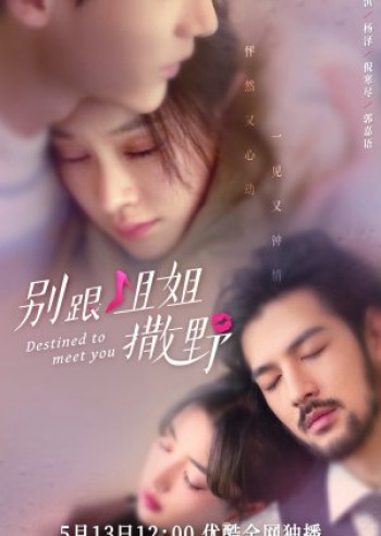 Đừng Nhờn Với Chị (Destined To Meet You) [2022]