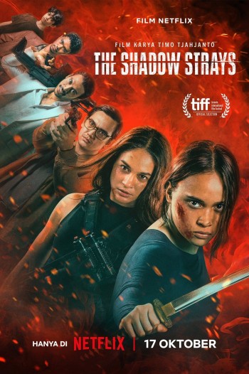 Sát thủ mật danh 13 (The Shadow Strays) [2024]