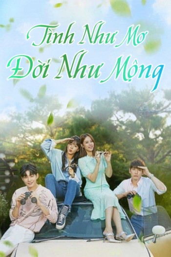 Tình Như Mơ Đời Như Mộng (Beautifull Love, Wonderful Life) [2019]