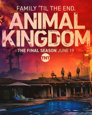 Vương Quốc Động Vật (Phần 6) (Animal Kingdom (Season 6)) [2022]